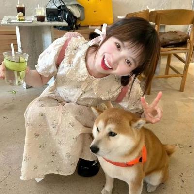 放送